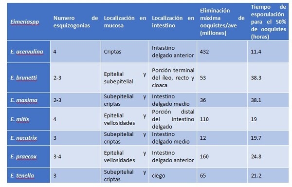 La importancia del monitoreo de la coccidiosis - Image 1