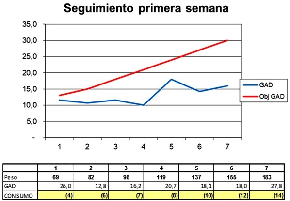 Ojo de aguila en la primera semana VPI-GAD. Indicadores de primera semana - Image 2