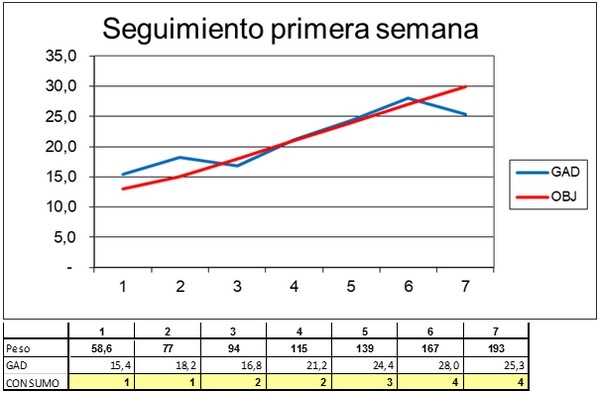 Ojo de aguila en la primera semana VPI-GAD. Indicadores de primera semana - Image 1