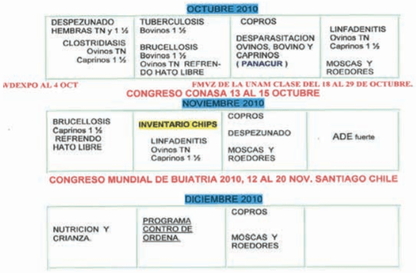  La programación Dinámica Ganadera en la Práctica Veterinaria de los Bovinos - Image 9