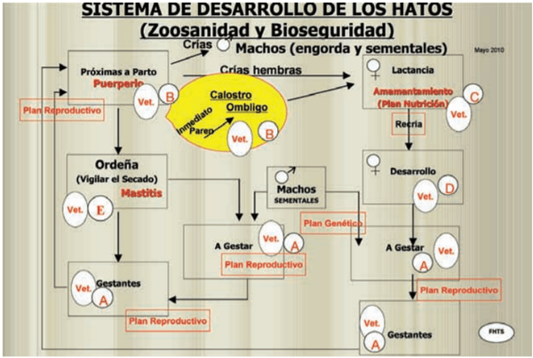  La programación Dinámica Ganadera en la Práctica Veterinaria de los Bovinos - Image 3