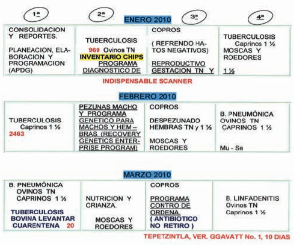  La programación Dinámica Ganadera en la Práctica Veterinaria de los Bovinos - Image 6