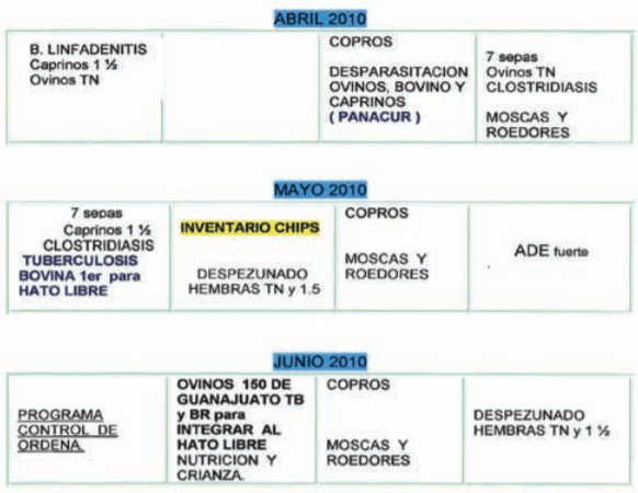  La programación Dinámica Ganadera en la Práctica Veterinaria de los Bovinos - Image 7
