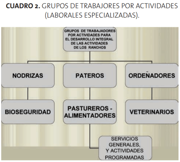  La programación Dinámica Ganadera en la Práctica Veterinaria de los Bovinos - Image 5
