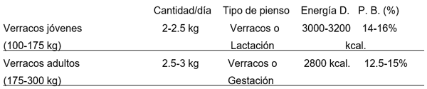 Manejo de un centro de inseminación artificial porcina - Image 8