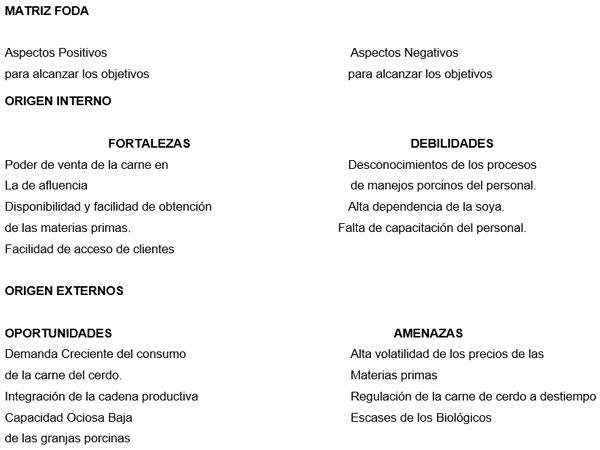 Plan de inversión porcino - Image 3