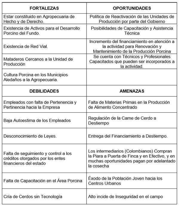 Plan de inversión porcino - Image 2