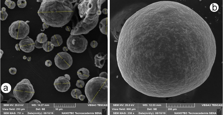 Respuesta dinámica de la disminución de Salmonella spp en el ciego de las aves, impacto del uso de mananoligosacaridos (MOS) ß-glucanos(1,3)(1,6). - Image 5