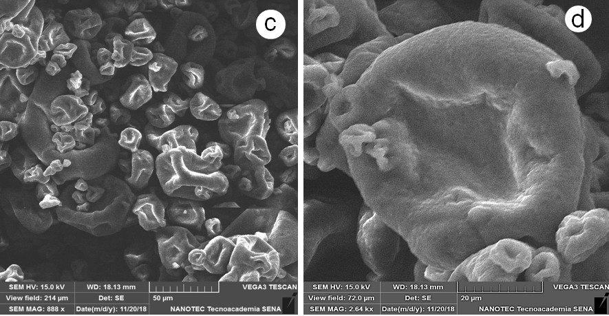 Respuesta dinámica de la disminución de Salmonella spp en el ciego de las aves, impacto del uso de mananoligosacaridos (MOS) ß-glucanos(1,3)(1,6). - Image 6