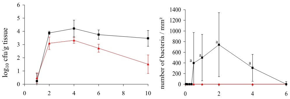 Respuesta dinámica de la disminución de Salmonella spp en el ciego de las aves, impacto del uso de mananoligosacaridos (MOS) ß-glucanos(1,3)(1,6). - Image 1