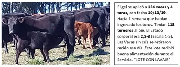 Campilobacteriosis bovina. Epidemiología práctica - Image 4