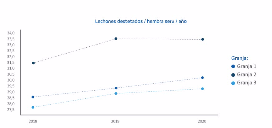 Sow Max: una herramienta de precisión en el descarte de hembras ¿por qué es una gran aliada para los porcicultores hoy? - Image 5