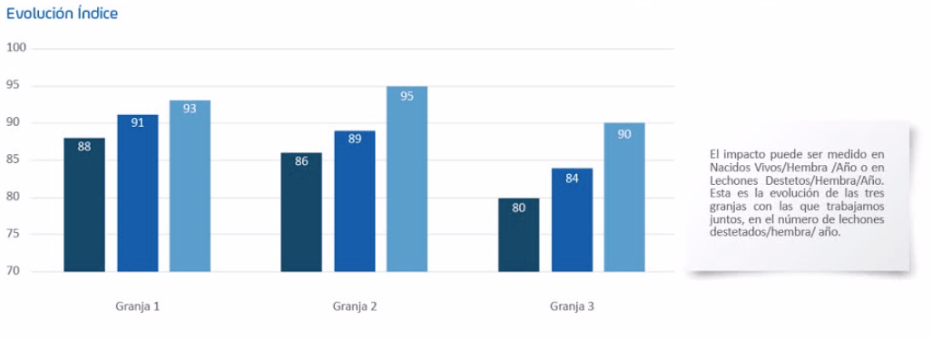 Sow Max: una herramienta de precisión en el descarte de hembras ¿por qué es una gran aliada para los porcicultores hoy? - Image 3