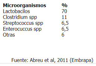 Manejo de camas en galpones de pollos de engorde - Image 7
