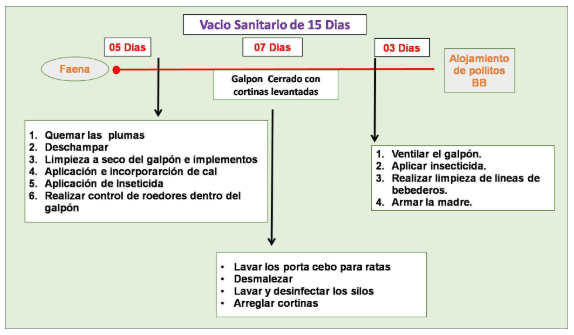 Manejo de camas en galpones de pollos de engorde - Image 8