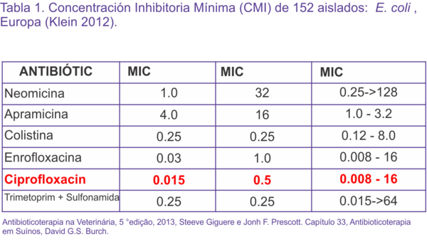 Ciproflaxacina se destaca entre los principales antimicrobianos contra las bacterias - Image 3