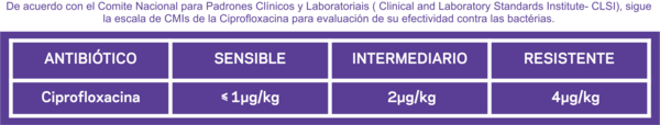 Ciproflaxacina se destaca entre los principales antimicrobianos contra las bacterias - Image 8