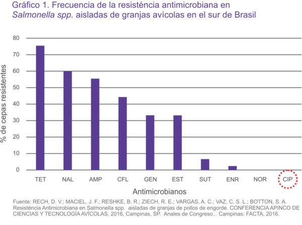 Ciproflaxacina se destaca entre los principales antimicrobianos contra las bacterias - Image 6