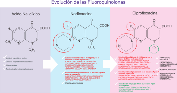 Ciproflaxacina se destaca entre los principales antimicrobianos contra las bacterias - Image 1