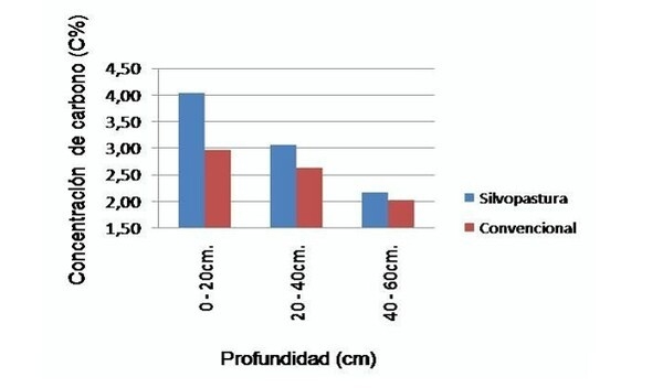 Evaluación climática y edafológica de un sistema silvopastoril y una pastura convencional - Image 9