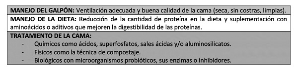 Los efectos del amoníaco en la producción avícola - Mitigación y reducción de las emisiones - Parte 4 - Image 2