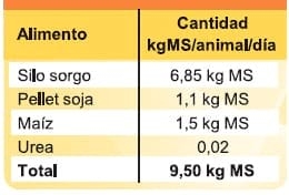Inocular silajes mejora la ganancia diaria de peso en recría de vaquillonas holando - Image 2