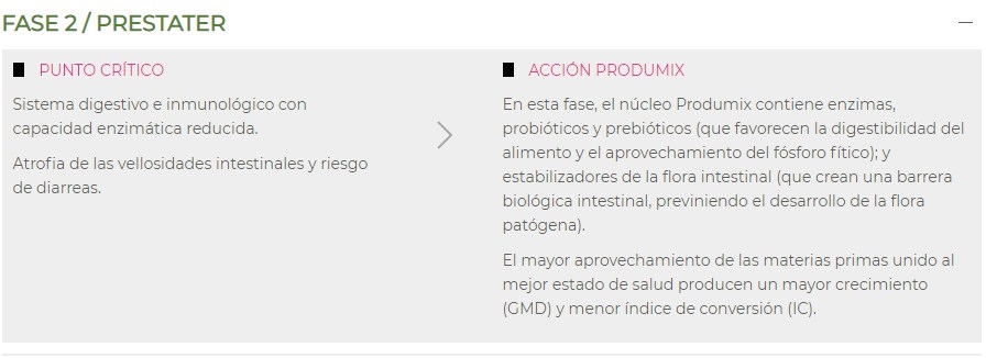 Programa ibérico - Image 8