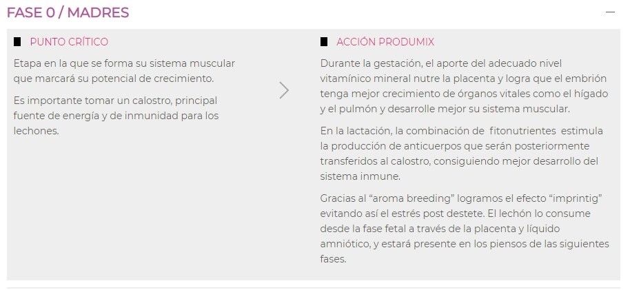 Programa ibérico - Image 4