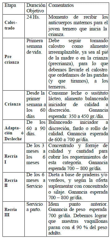 Pautas para la Crianza de Terneros - Image 3