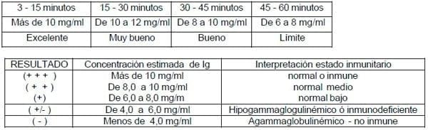 Herramientas Simples en el siglo XXI para la atención del ternero recién nacido: Test de Inmunidad y Calostrimetro - Image 3
