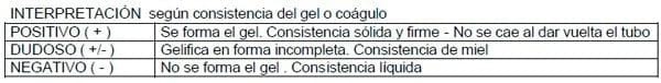 Herramientas Simples en el siglo XXI para la atención del ternero recién nacido: Test de Inmunidad y Calostrimetro - Image 2