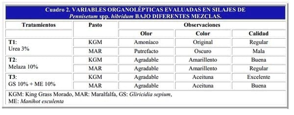 Caracteristicas organolépticas, fermentativas y nutricionales de silajes Mixtos de Pennisetum spp. hibridum - Image 4
