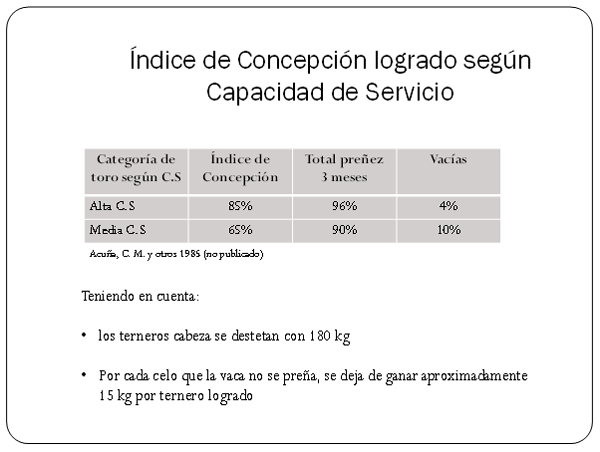 Usar menos toros y concentrar la preñez ¿Impacta en un rodeo de cría? - Image 2