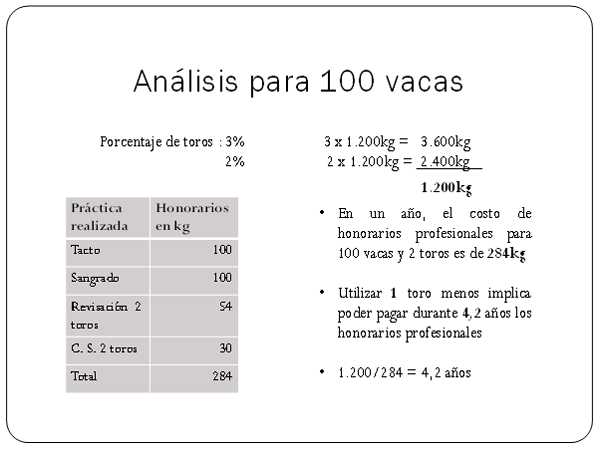 Usar menos toros y concentrar la preñez ¿Impacta en un rodeo de cría? - Image 1