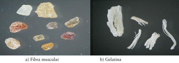 Revisión de los principales métodos de detección e identificación de proteínas animales procesadas en alimentos balanceados - Image 1