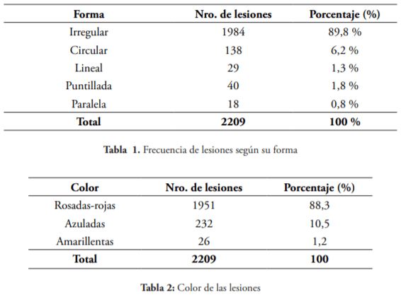 Evaluación de las contusiones y del PH en canales bovinas en un matadero de la provincia de Santa Fe - Image 3