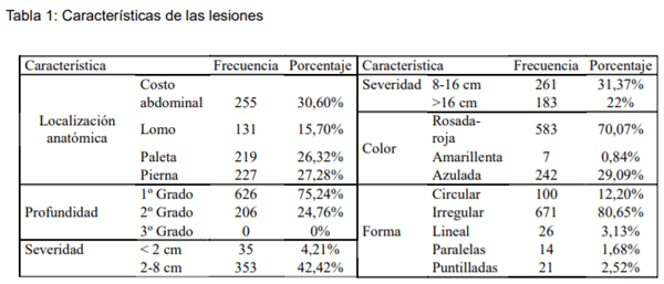 Clasificación de lesiones en canales bovinas faenadas en un frigorífico de la provincia de Córdoba - Image 2