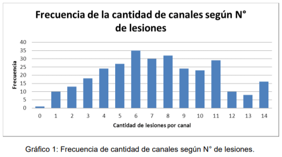 Evaluación de las características de las contusiones en las canales vacunas y de su relación con el manejo y el bienestar animal en las etapas previas a la faena - Image 2