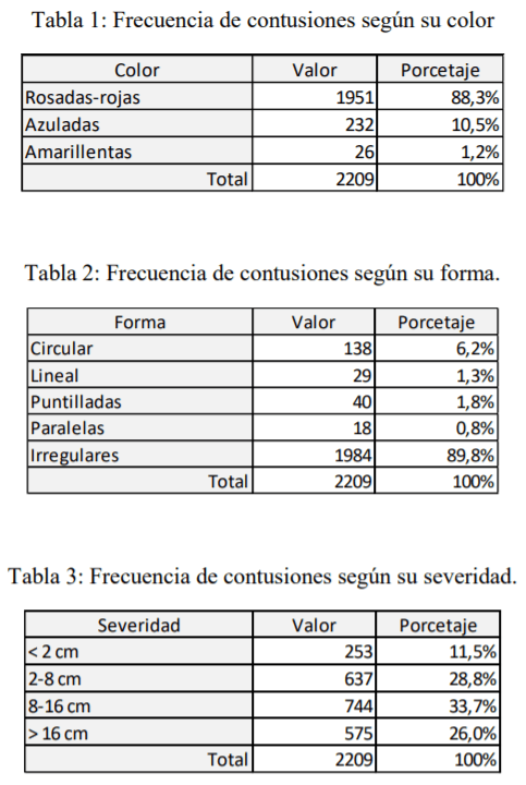 Evaluación de las características de las contusiones en las canales vacunas y de su relación con el manejo y el bienestar animal en las etapas previas a la faena - Image 3