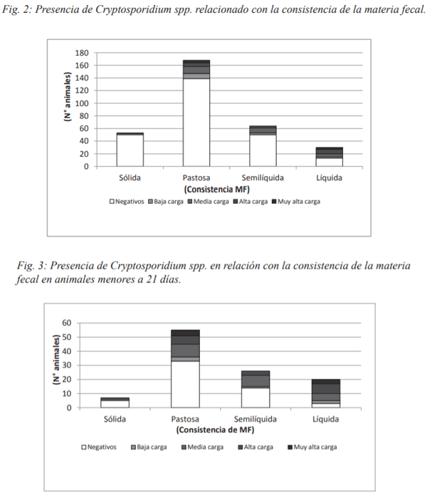 Presencia de Cryptosporidium spp. en terneros de establecimientos lecheros de la provincia de Santa fe (Argentina) - Image 3