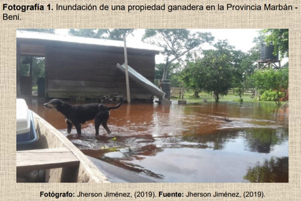 Los animales y la gestión de riesgos - Image 2