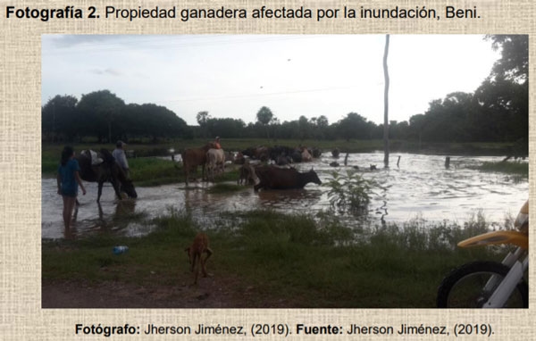 Los animales y la gestión de riesgos - Image 3