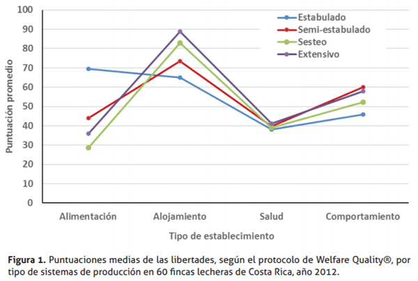 Bienestar animal en hatos lecheros especializados de Costa Rica asociados a una cooperativa de productores de leche - Image 7