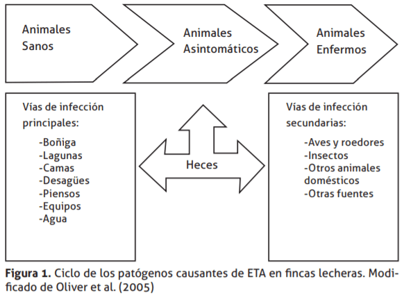 Conceptos sobre inocuidad en la producción primaria de la leche - Image 1