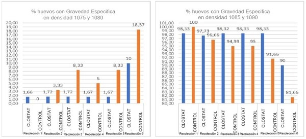 CLOSTAT™: la mejora en la microbiota e integridad intestinal como base para el mayor rendimiento de las aves ponedoras y producción de huevos de alta calidad - Image 4