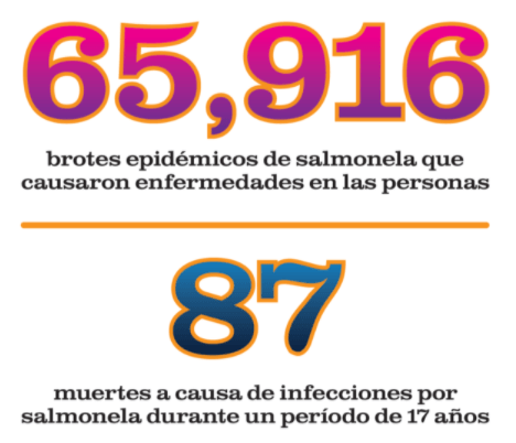 La salmonela en el alimento balanceado y los retiros del mercado - Image 4
