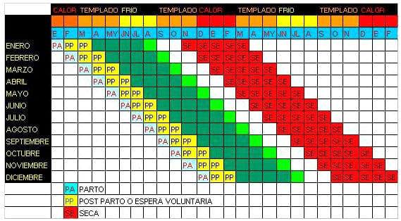 Manejo Reproductivo en épocas de calor - Image 3