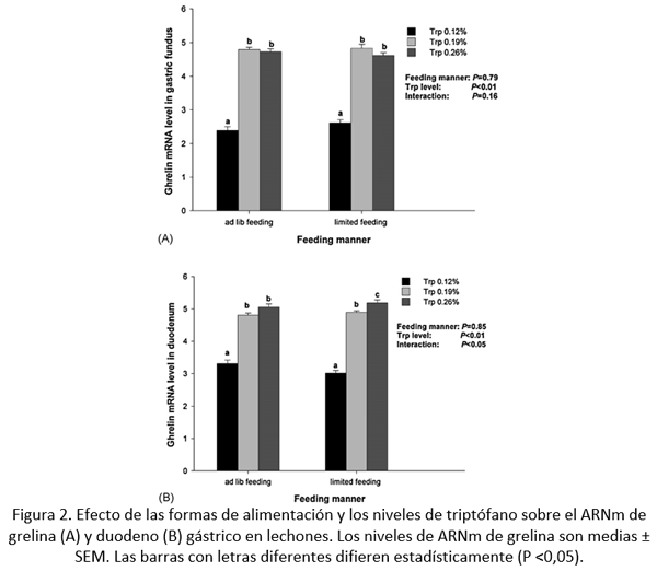 Importancia del triptófano en cerdos alimentados con subproductos animales - Image 3
