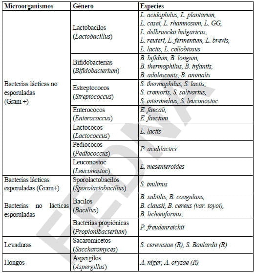 Alternativas a los antibióticos de uso alimentario en rumiantes:Probióticos, Enzimas y Ácidos Orgánicos - Image 1