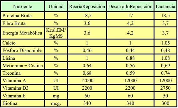 Importancia y manejo de la alimentación en cachorras de reposición - Image 3